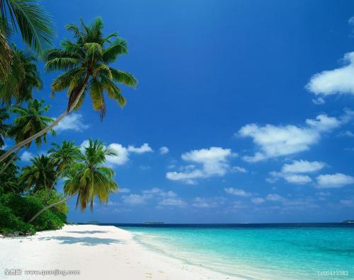 ж! 2020սͼ:48ɽ ¹ű